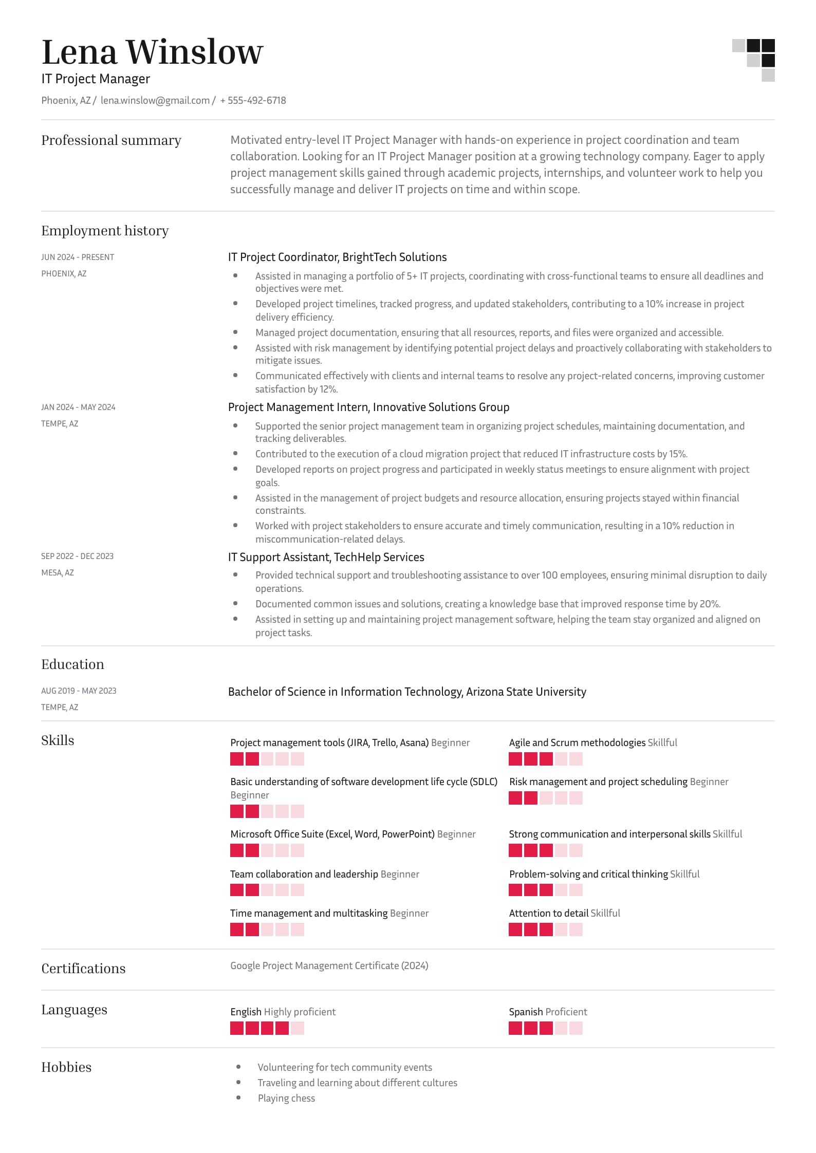 Junior IT Project Manager