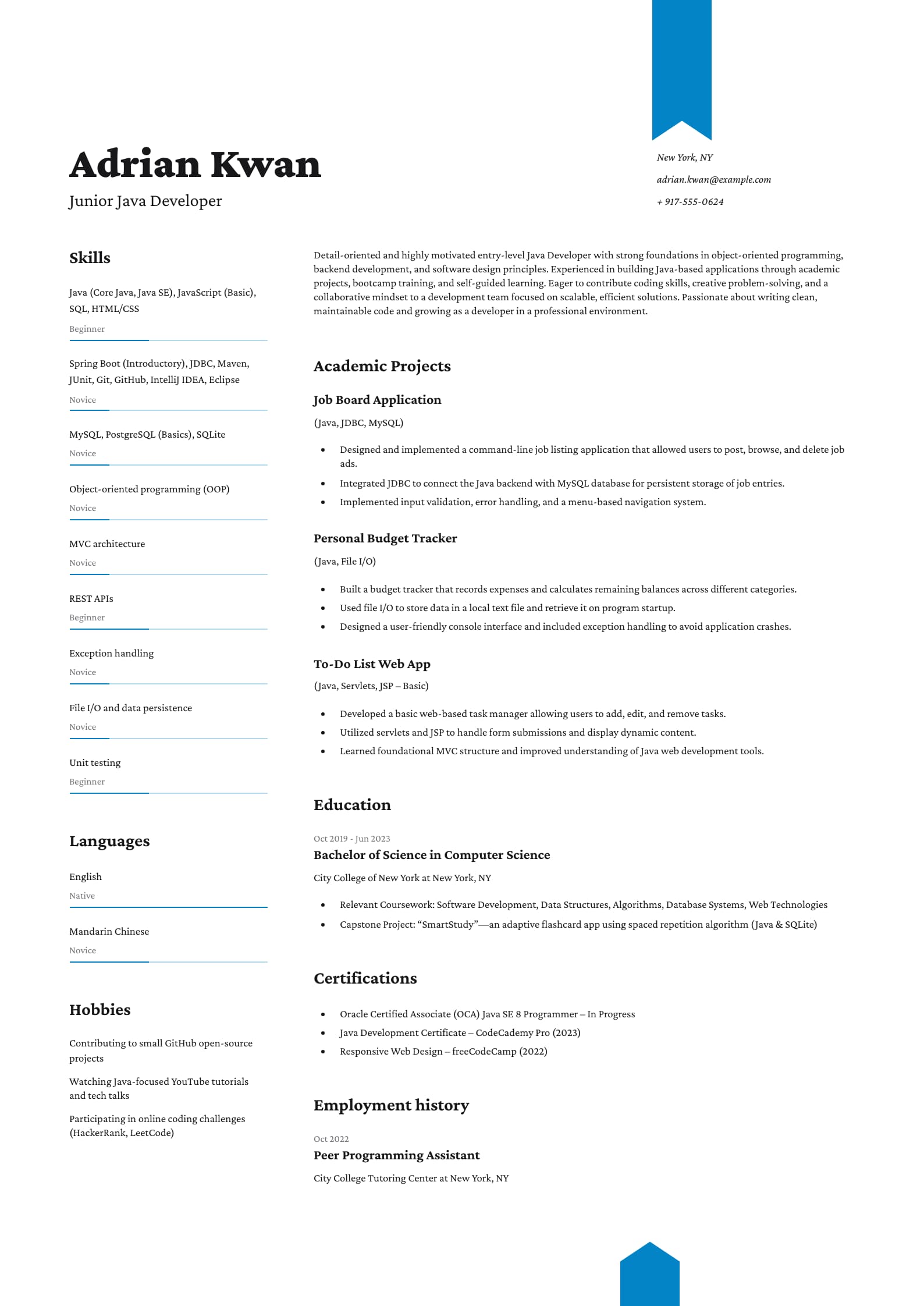 Junior Java Developer